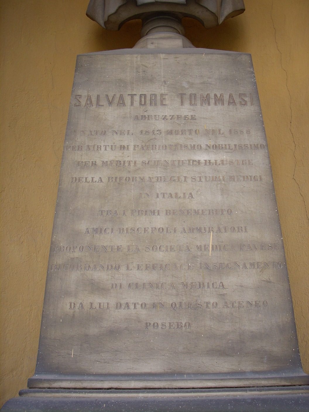 Salvatore%20Tommasi%20monument%2C%20University%2C%20Pavia%20-%203.jpg